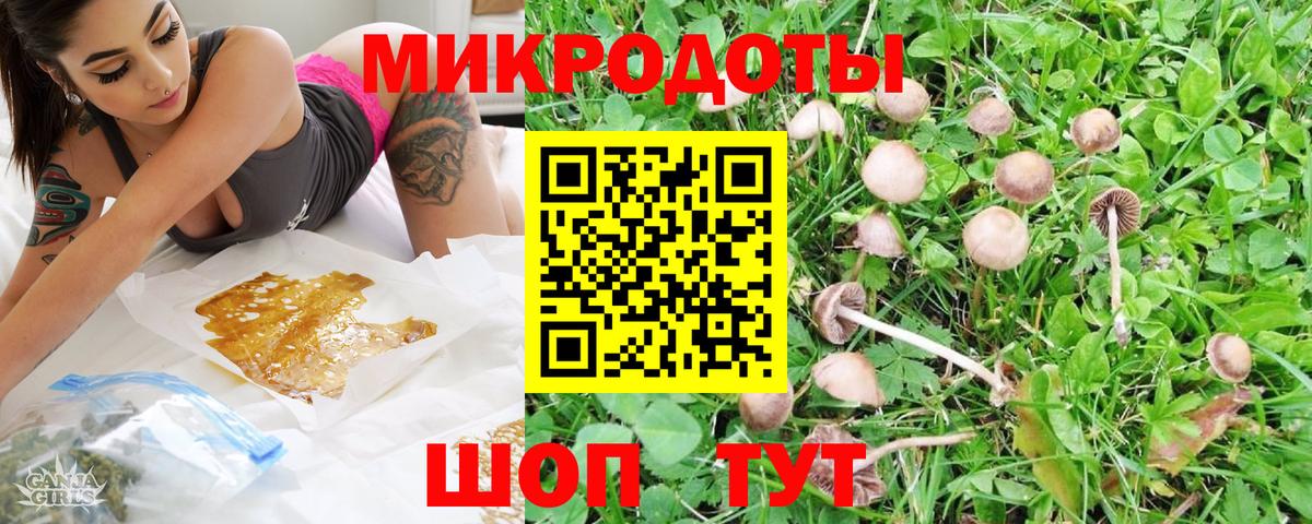 Галлюциногенные грибы GOLDEN TEACHER Котельники